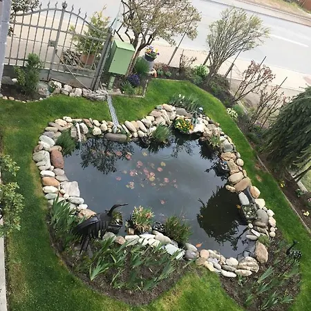 Chasa Sassalbo 住宿加早餐酒店 3*