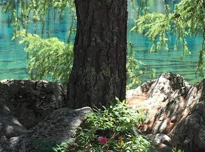 Chasa Sassalbo Panzió